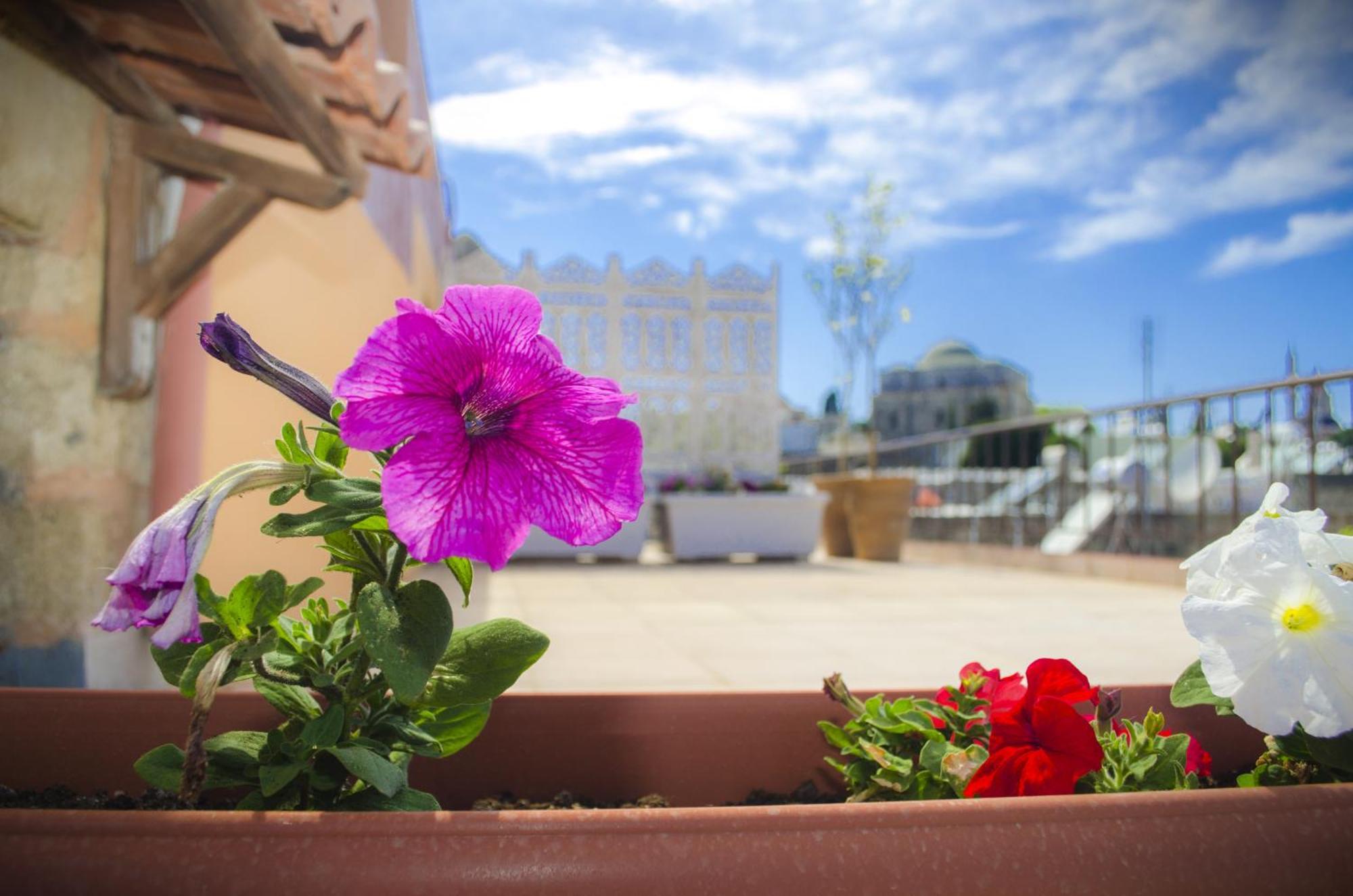 Petrino Aparthotel Rhodes City Cameră foto